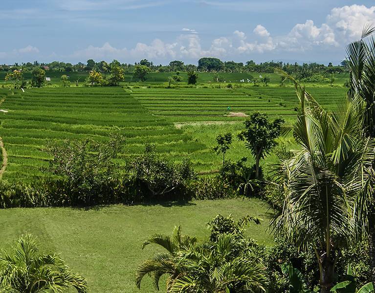 13+ Villa Mana Canggu Images